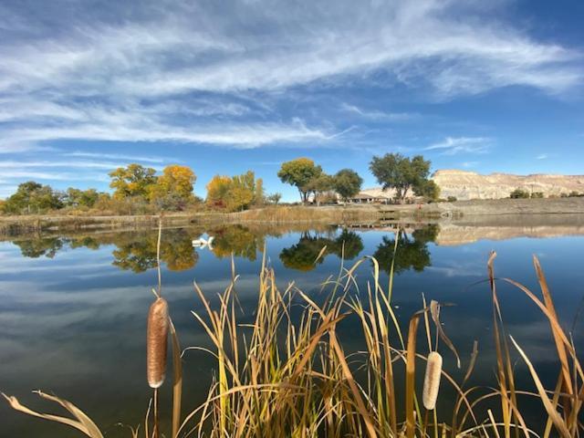 Colorado River Glamping Clifton Εξωτερικό φωτογραφία